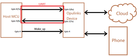 host_mode_architecture